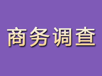 眉山商务调查